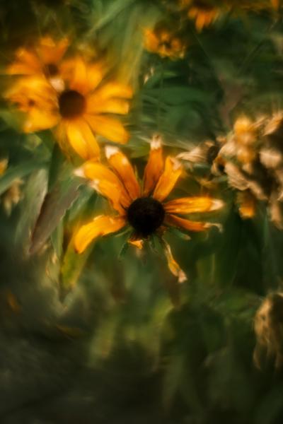 The Warmth That Remains