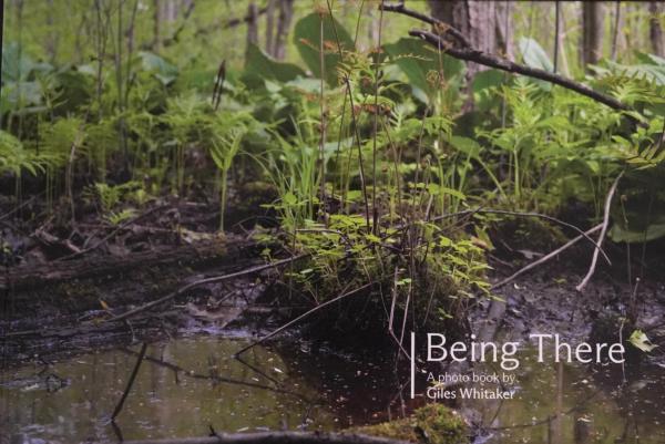 Being There